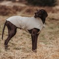 Imperméable pour chiens Milford - HUNTER