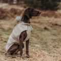 Imperméable pour chiens Milford - HUNTER