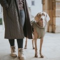 Manteau pour chiens Uppsala Trend kaki - HUNTER