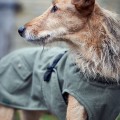 Manteau pour chiens Uppsala Trend kaki - HUNTER