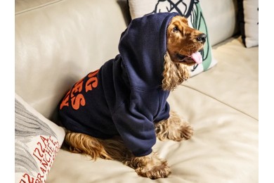 Hoodie À Capuche Pour Chien FRENCH BANDIT