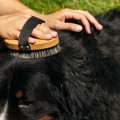 Brosse de Massage pour Chiens - TOUTOU PET CARE