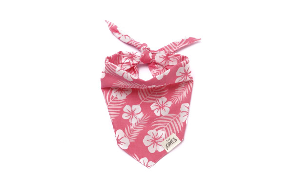 Bandana Lei - THE PAWS