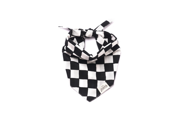 Bandana Chess - THE PAWS