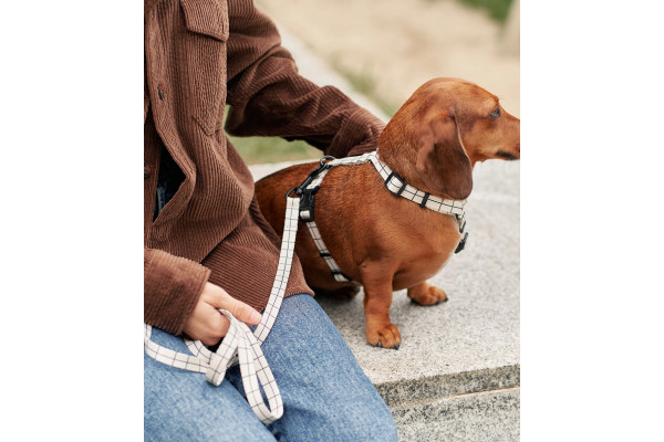 Laisse Pour Chien En PET Recyclé 1,2 m - CAFIDE