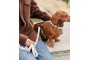 Collier En PET Recyclé Pour Chien - CAFIDE
