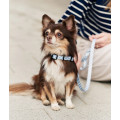 Collier En PET Recyclé Pour Chien - CAFIDE