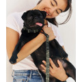 Collier En PET Recyclé Pour Chien - CAFIDE