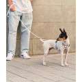Harnais En PET Recyclé Pour Chien - CAFIDE
