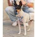 Harnais En PET Recyclé Pour Chien - CAFIDE