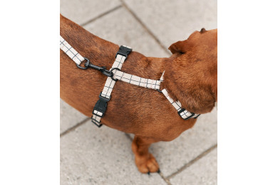 Harnais En PET Recyclé Pour Chien - CAFIDE