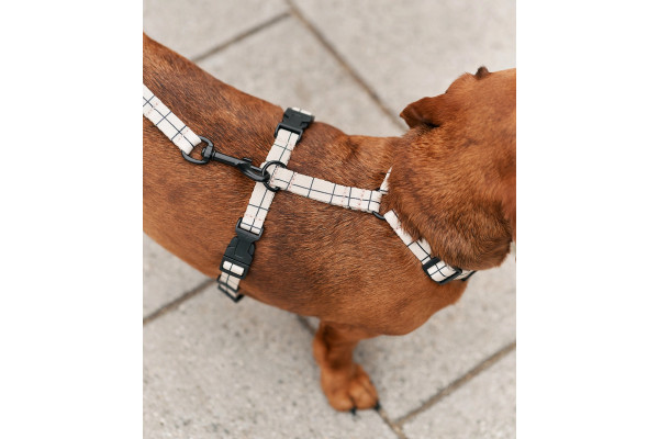 Harnais En PET Recyclé Pour Chien - CAFIDE