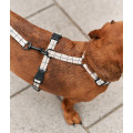 Harnais En PET Recyclé Pour Chien - CAFIDE