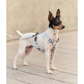 Harnais En PET Recyclé Pour Chien - CAFIDE
