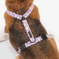 Harnais En PET Recyclé Pour Chien - CAFIDE