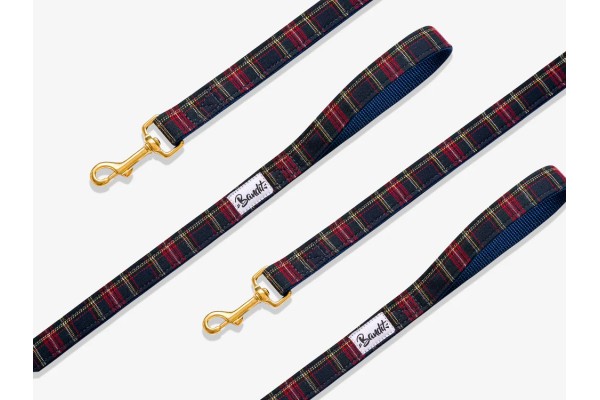 Laisse 4 Positions Pour Chiens et Chats - FRENCH BANDIT