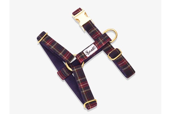 Harnais Réglable Pour Chien FRENCH BANDIT
