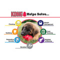 Jouet À Garnir Classic Pour Chien - KONG