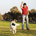 Jouet À Garnir Extreme Pour Chien - KONG