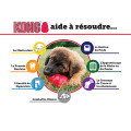 Jouet À Garnir Extreme Pour Chien - KONG