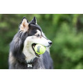 Balles SqueakAir Pour Chien - KONG