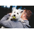 Balles SqueakAir Pour Chien - KONG