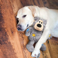 Jouet Wild Knots Bears Pour Chien - KONG