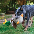 Jouet Shakers Honkers Pour Chien - KONG