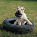 Jouet Pour Chiens de Mastication Extreme Tyres - KONG