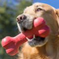 Jouet Pour Chiens de Mastication Distributeur de Friandises  Goodie Bone - KONG