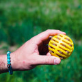 Balles De Rechange Flingerz Pour Chien - HUNTER