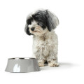 Gamelle En Mélaminé Atlanta Pour Chien Et Chat - HUNTER