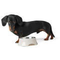 Gamelle En Mélaminé Atlanta Pour Chien Et Chat - HUNTER