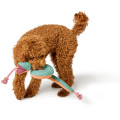 copy of Jouet Peluche Koala - HUNTER