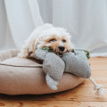 Jouet Peluche Koala - HUNTER