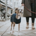 Pull Pour Chien Finja HUNTER