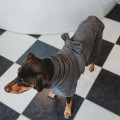Peignoir pour Chiens Riga Gris - HUNTER