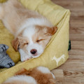 Sofa Pour Chien Eiby HUNTER