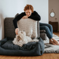 Sofa Pour Chien Eiby HUNTER