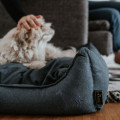 Sofa Pour Chien Eiby HUNTER