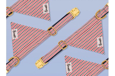 Bandana Pour Chiens - FRENCH BANDIT