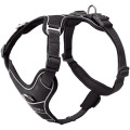 Harnais Divo Up Pour Chien - HUNTER