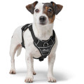 Harnais Divo Up Pour Chien - HUNTER