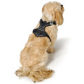 Harnais Divo Up Pour Chien - HUNTER