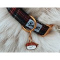 Collier pour Chiens et Chats - FRENCH BANDIT