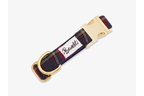 Collier Pour Chien Et Chat FRENCH BANDIT