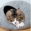 Cocon pour Chats - COCOON PARIS