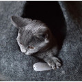 Cocon pour Chats - COCOON PARIS