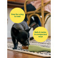 Jouet pour Chiens en Caoutchouc Naturel Chew Vert- EARTH RATED