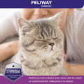 Diffuseur + Recharge FELIWAY